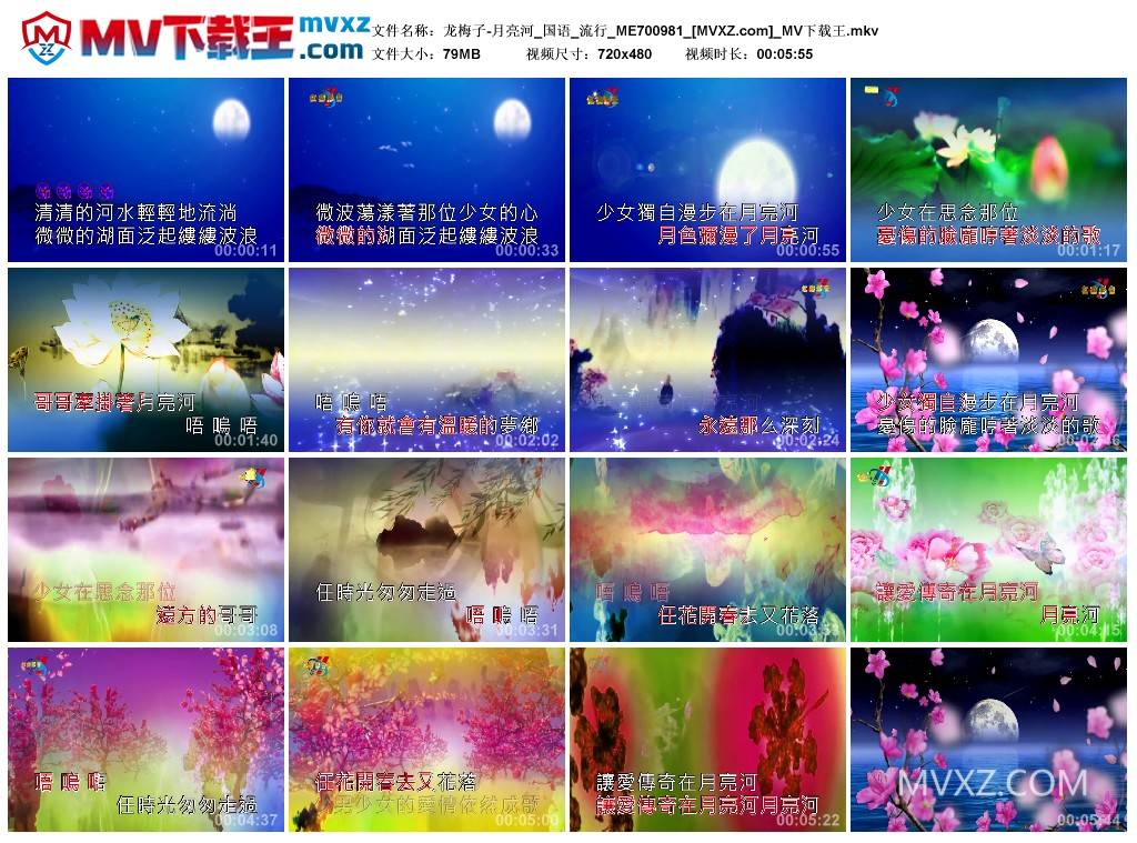 龙梅子-月亮河_国语_流行_ME700981